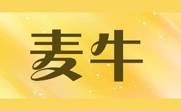 ţ