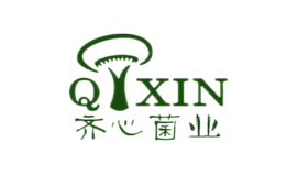 ľҵqixin