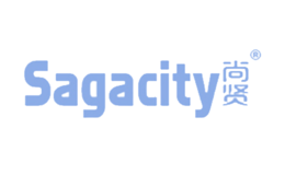 sagacity