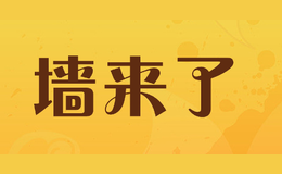 ǽ