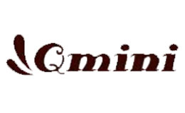 qmini
