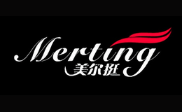 ����ͦmerting
