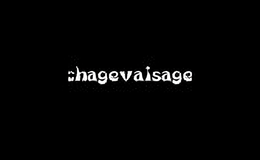 chagevaisage��װ