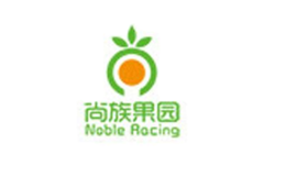 nobleracing