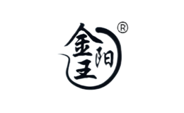 金阳王jinyangwang