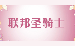 ����ʥ��ʿ