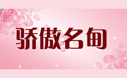 骄傲名甸jamd