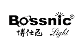bossniclight