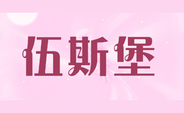 ˹