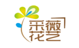 ��ޱ����