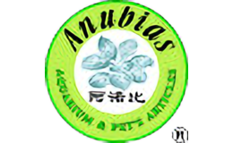 阿诺比anubias