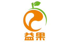 ��ݸ���������