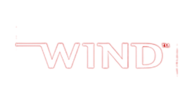 windriver���