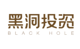 黑洞投资blackhole