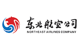 northeastern airlines