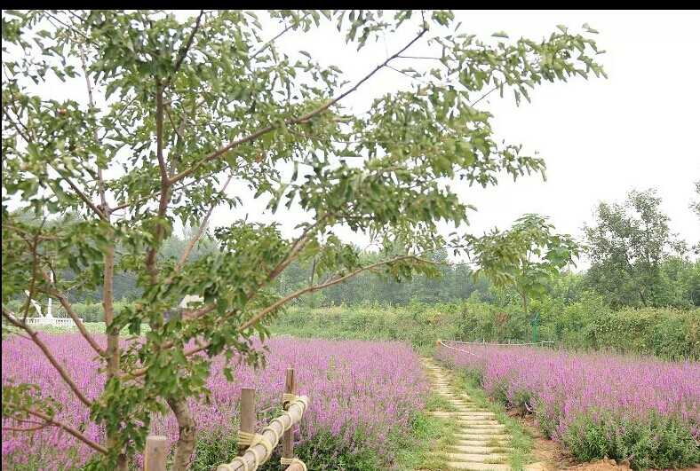 婚纱拍摄基地