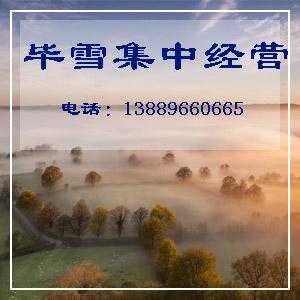 韩国进口[heel-star]明星连衣裙00520