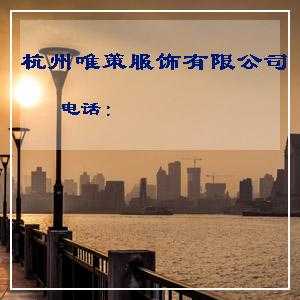 年夏时尚新款雪纺连衣裙1