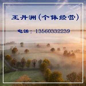 4149 23元 瑞丽连衣裙单肩雪纺连衣裙礼服雪纺