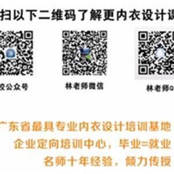 内衣纸样设计 文胸 内衣 纸样设计视频教程 陈店博林内衣设计学校