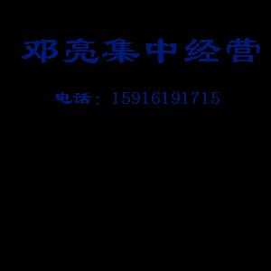 韩版童装 糖果色运动套装 白色字母印花 夏季预定